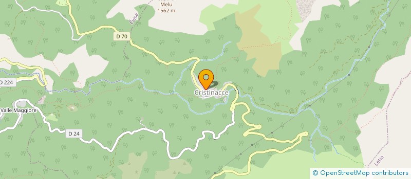 localisation de l'entreprise MONSIEUR HENRIK VERCHER-CHOLLOUX  CRISTINACCE