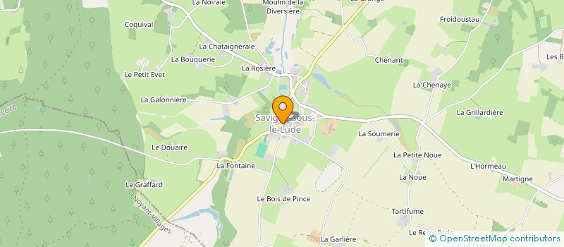 localisation de l'entreprise MONSIEUR HENRIQUE DIAS à SAVIGNE-SOUS-LE-LUDE