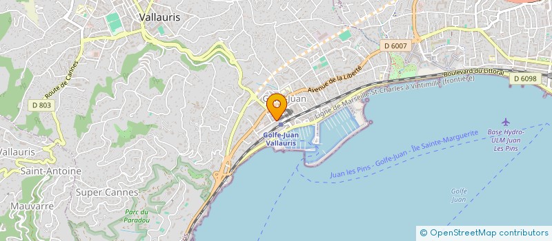 localisation de l'entreprise MONSIEUR HENRIQUE DIAS DE OLIVEIRA  VALLAURIS