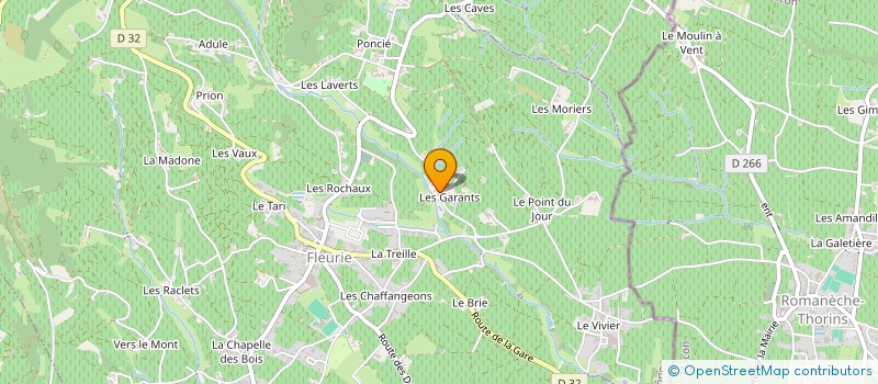localisation de l'entreprise MONSIEUR HENRY LESCHENAULT DU VILLARD à FLEURIE