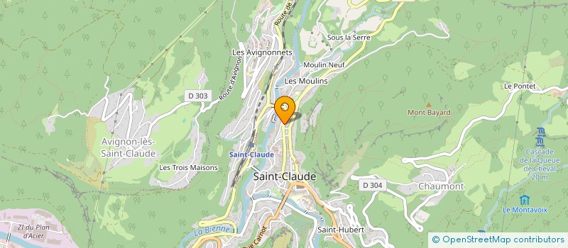 localisation de l'entreprise MONSIEUR HENRY SERVONNAT  SAINT-CLAUDE