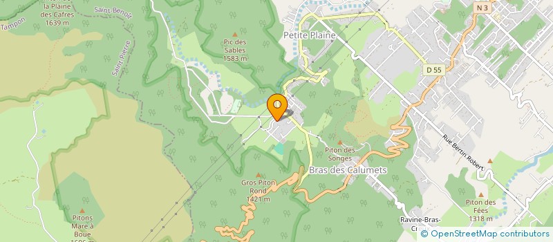 localisation de l'entreprise MONSIEUR HENRY VELIA  LA PLAINE-DES-PALMISTES