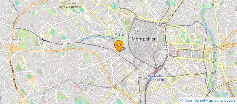 localisation de l'entreprise MONSIEUR HERIBERTO CUADRADO COGOLLO à MONTPELLIER