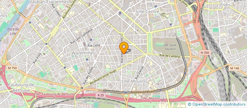 localisation de l'entreprise MONSIEUR HERNAN PEREZ à LILLE