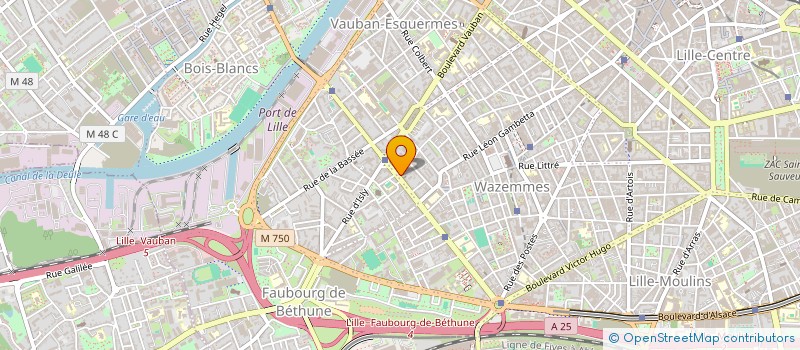 localisation de l'entreprise MONSIEUR HERRVE THOMMAS  LILLE