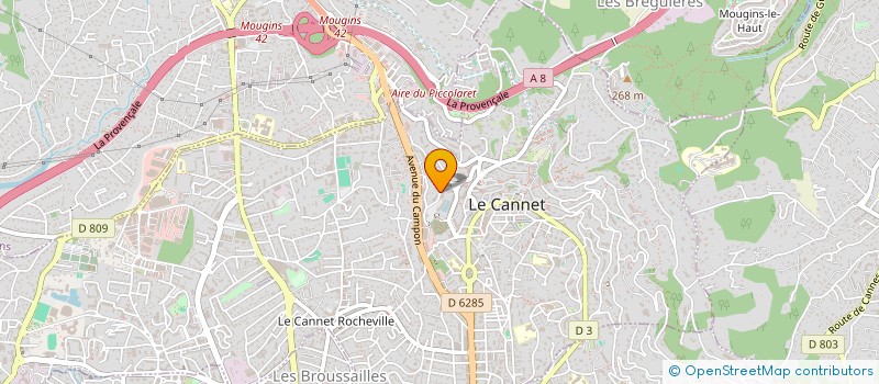 localisation de l'entreprise MONSIEUR HERVE BRAVARD à LE CANNET