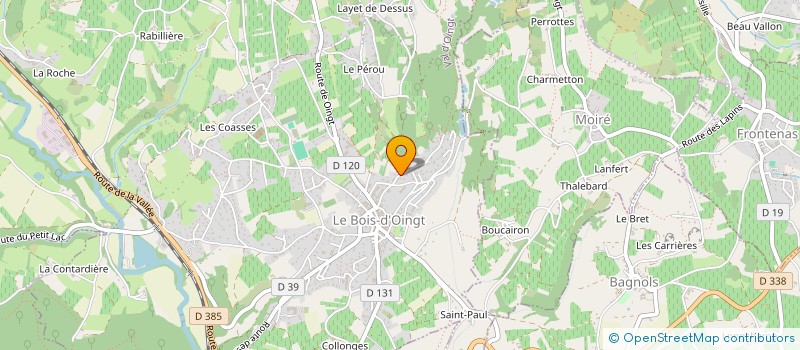 localisation de l'entreprise MONSIEUR HERVE BUDIN  VAL D'OINGT