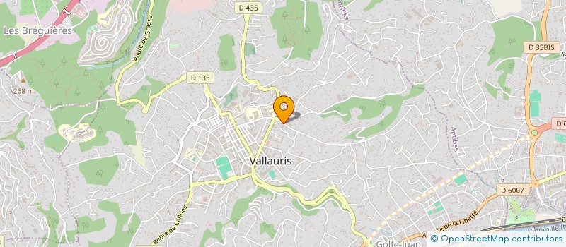 localisation de l'entreprise MONSIEUR HERVE GIBOIN à VALLAURIS