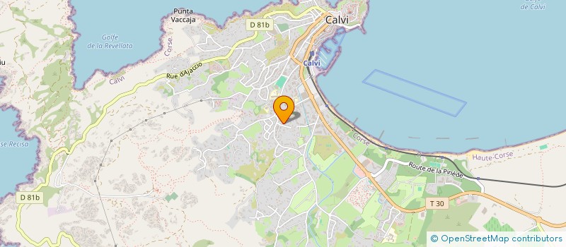 localisation de l'entreprise MONSIEUR HERVE GULLONE à CALVI