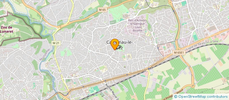 localisation de l'entreprise MONSIEUR HERVE LEPAGE  CASTELNAU-LE-LEZ