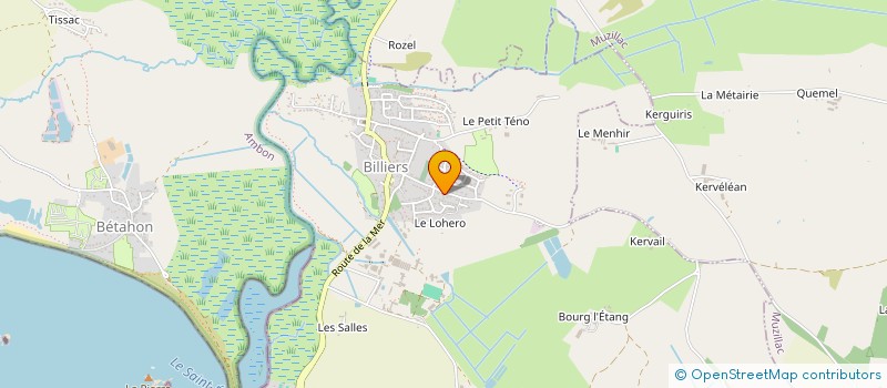 localisation de l'entreprise MONSIEUR HERVE LOHEZIC  BILLIERS