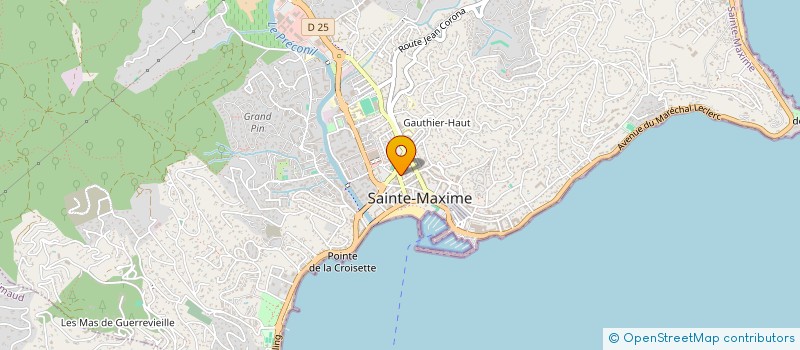 localisation de l'entreprise MONSIEUR HERVE NARCISI à SAINTE-MAXIME