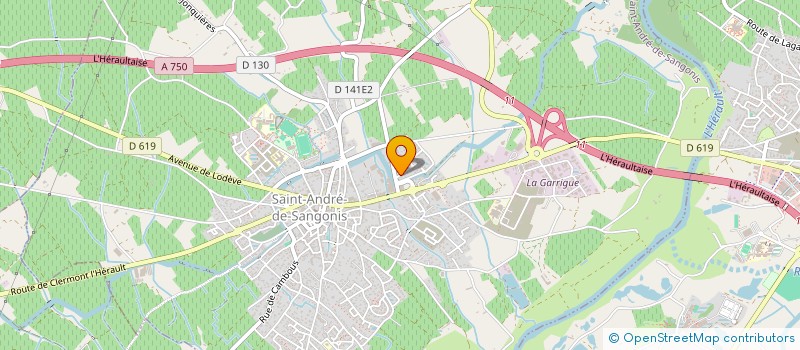 localisation de l'entreprise MONSIEUR HERVE RAYSSAC  SAINT-ANDRE-DE-SANGONIS