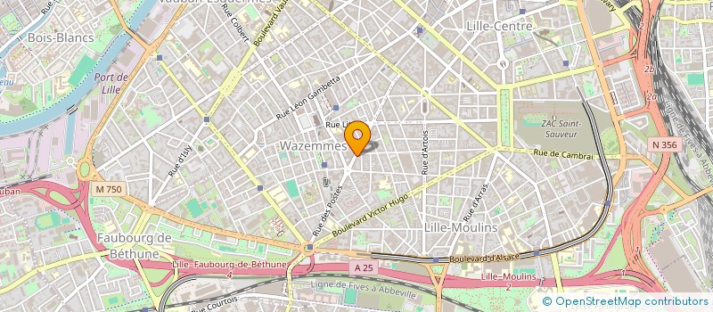 localisation de l'entreprise MONSIEUR HERVE RENARD à LILLE