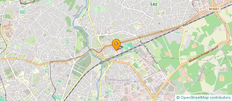 localisation de l'entreprise MONSIEUR HERVE SCHNEIDER  CASTELNAU-LE-LEZ