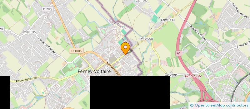 localisation de l'entreprise MONSIEUR HERVE STAMM à FERNEY-VOLTAIRE