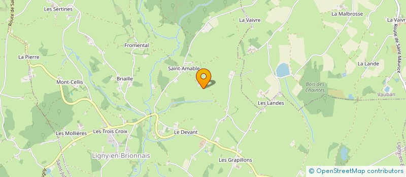 localisation de l'entreprise MONSIEUR HERVE VIZIER  LIGNY-EN-BRIONNAIS