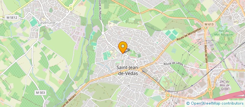 localisation de l'entreprise MONSIEUR HERVE WAGNER  SAINT-JEAN-DE-VEDAS