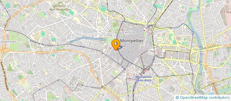 localisation de l'entreprise MONSIEUR HERY RAKOTOMANANA ANDRIANJOHANY à MONTPELLIER