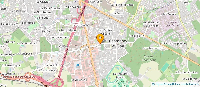 localisation de l'entreprise MONSIEUR HEYNO SEEDORF  CHAMBRAY-LES-TOURS