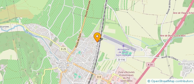 localisation de l'entreprise MONSIEUR HICHAM AIT AHMED  NUITS-SAINT-GEORGES