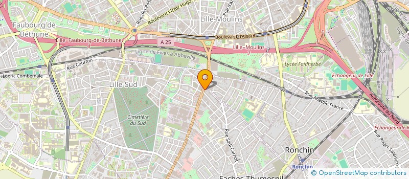 localisation de l'entreprise MONSIEUR HIKMATULLAH FAQIRZADA  FACHES-THUMESNIL