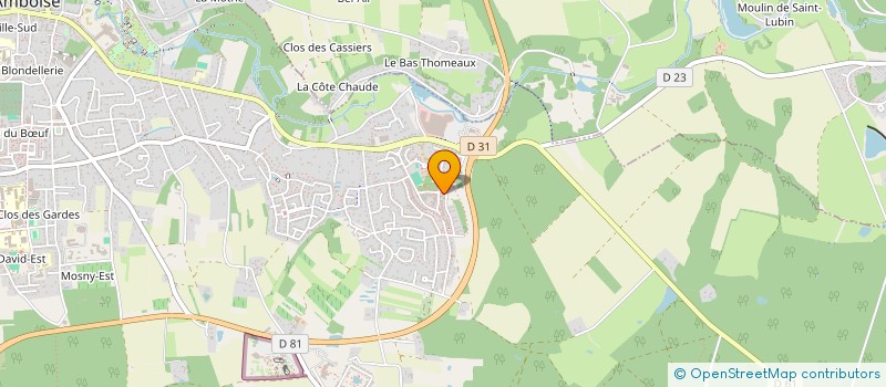 localisation de l'entreprise MONSIEUR HIPPOLYTE BIDUAYA BULABUTUPU  AMBOISE