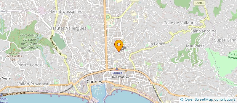 localisation de l'entreprise MONSIEUR HISHAM SALAH ELDIN  CANNES