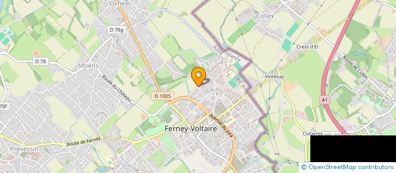 localisation de l'entreprise MONSIEUR HORAZIO GIANNACCINI à FERNEY-VOLTAIRE