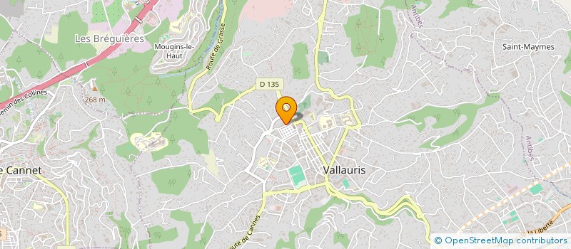 localisation de l'entreprise MONSIEUR HOSNI BOUNEB  VALLAURIS