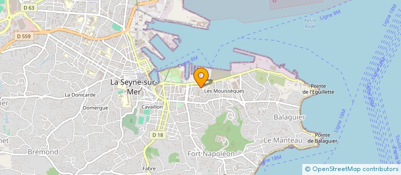 localisation de l'entreprise MONSIEUR HOUARI MESSAOUDI ASKEUR  LA SEYNE-SUR-MER