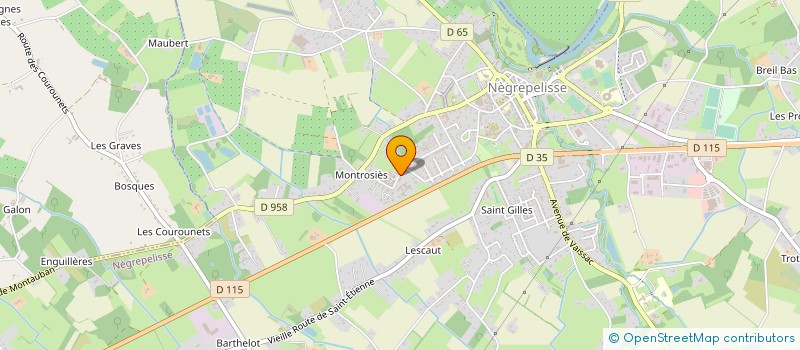 localisation de l'entreprise MONSIEUR HOUCEINE CHAMLALI  NEGREPELISSE