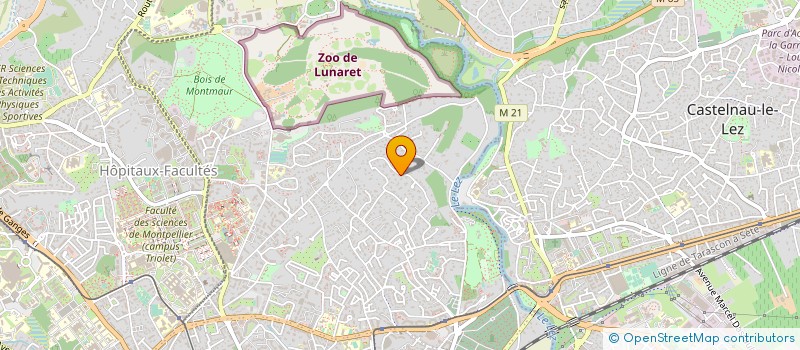 localisation de l'entreprise MONSIEUR HOUMAN SHAMS LARIJANI à MONTPELLIER