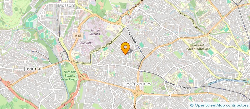localisation de l'entreprise MONSIEUR HOUSSAM SMAILI à MONTPELLIER
