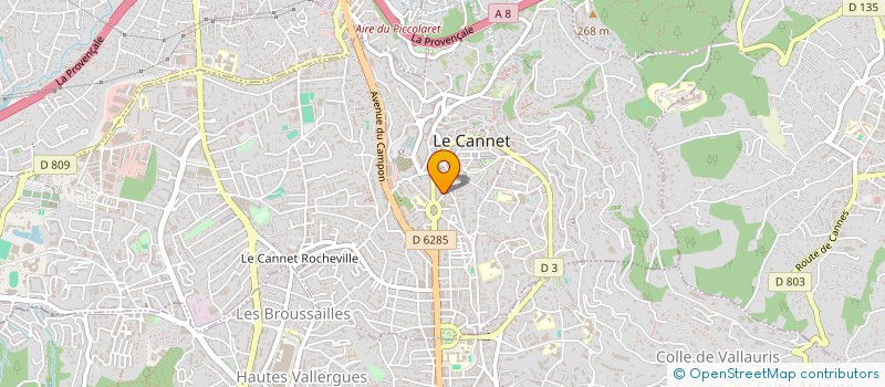 localisation de l'entreprise MONSIEUR HOUSSEM BRIKI à LE CANNET