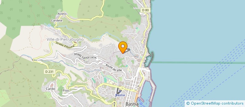 localisation de l'entreprise MONSIEUR HOUSSEM SALLEMI à BASTIA