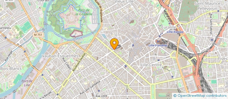 localisation de l'entreprise MONSIEUR HOUSSEM SMIAI  LILLE