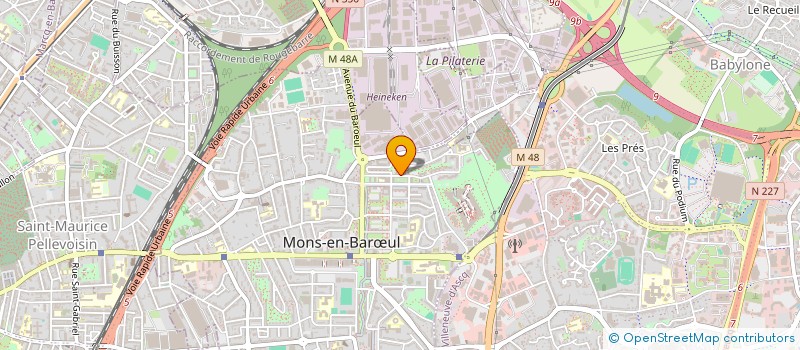 localisation de l'entreprise MONSIEUR HOUSSNI DEFLORY  MONS-EN-BARUL