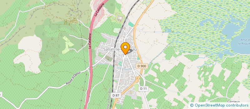 localisation de l'entreprise MONSIEUR HOVHANNES SHAHINYAN  SALSES-LE-CHATEAU