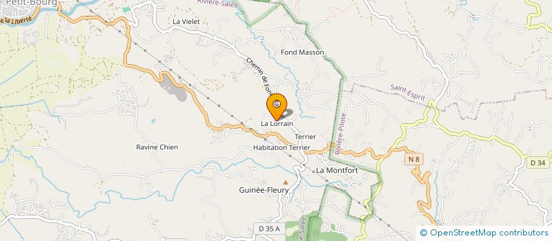 localisation de l'entreprise MONSIEUR HOWARD LAURETTA  RIVIERE-SALEE