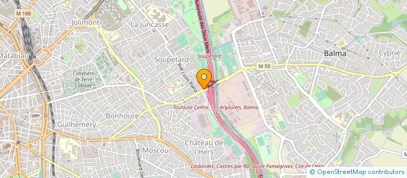 localisation de l'entreprise MONSIEUR HRISTO TODOROV à TOULOUSE
