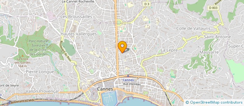 localisation de l'entreprise MONSIEUR HRYHORII VLIZKO à CANNES