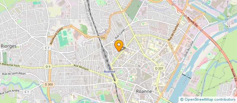 localisation de l'entreprise MONSIEUR HUBERT BLOIS à ROANNE