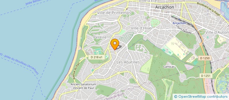 localisation de l'entreprise MONSIEUR HUBERT BOUDEY  ARCACHON