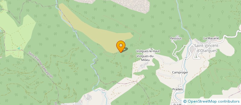 localisation de l'entreprise MONSIEUR HUBERT HENTZ à SAINT-VINCENT-D OLARGUES