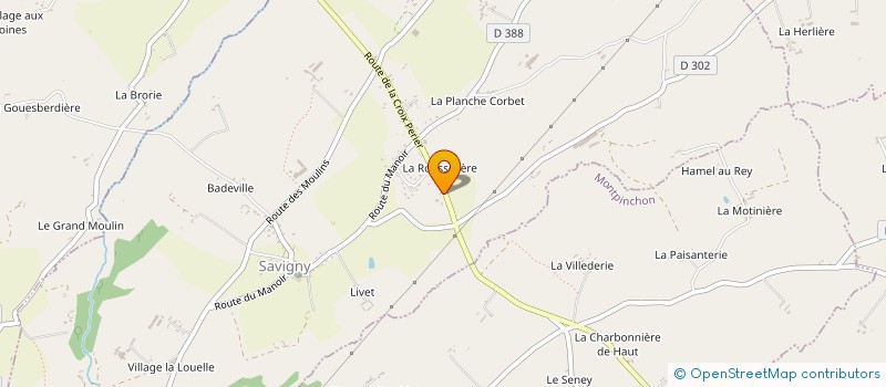 localisation de l'entreprise MONSIEUR HUBERT LECLUZE  SAVIGNY