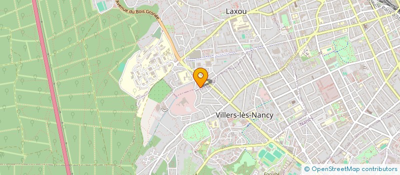 localisation de l'entreprise MONSIEUR HUGO ADRIEN DOMINGUES FIGUEIRAS  LAXOU