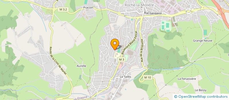 localisation de l'entreprise MONSIEUR HUGO BERLIVET à ROCHE-LA-MOLIERE