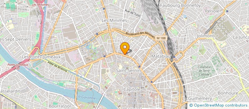 localisation de l'entreprise MONSIEUR HUGO BERTHOUMIEUX à TOULOUSE