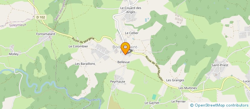 localisation de l'entreprise MONSIEUR HUGO CHASSAGNEUX  BOISSET-SAINT-PRIEST